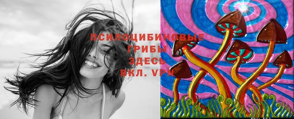MESCALINE Новозыбков