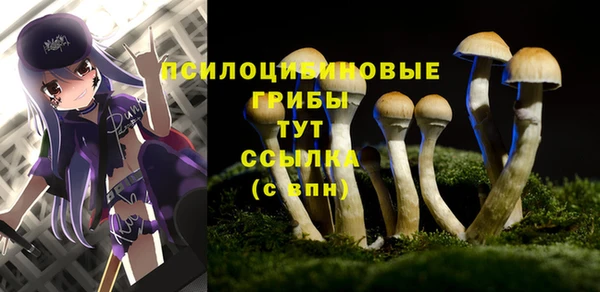 MESCALINE Новозыбков