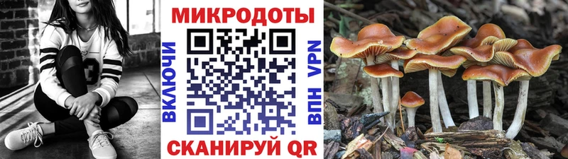 Псилоцибиновые грибы Magic Shrooms  omg маркетплейс  Западная Двина  магазин  наркотиков 