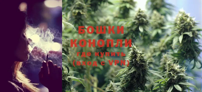 Шишки марихуана OG Kush  сайты даркнета телеграм  Западная Двина 